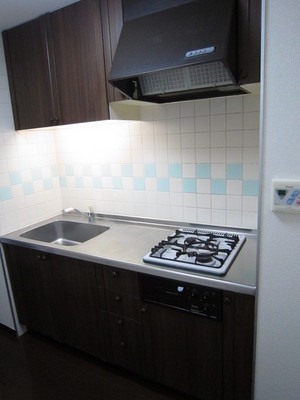 Kitchen. With a two-burner gas system kitchen grill