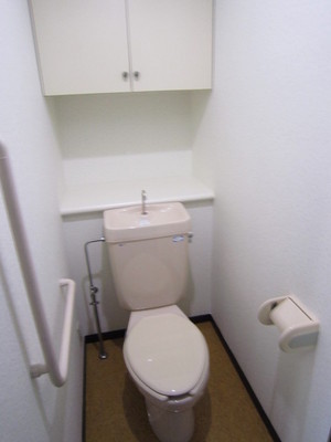 Toilet. Storage rack with toilet