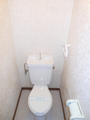 Toilet. Toilet