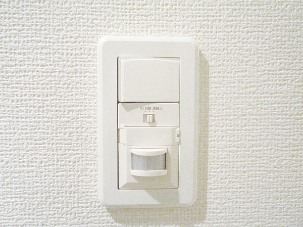 Other.  [Motion sensors linked entrance lighting] Installing the lighting to be turned on by sensing the presence of a person in the front door. Night of going out and coming home, It is safe even if you have the luggage in hand. (Same specifications)
