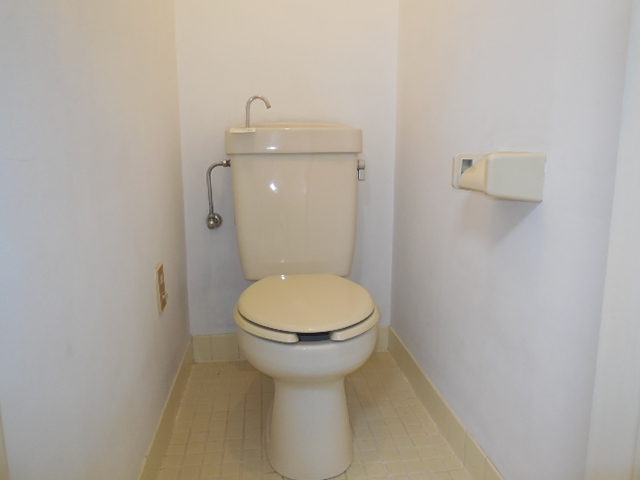 Toilet. Simple toilet