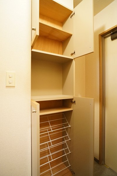 Entrance. Entrance shoes BOX