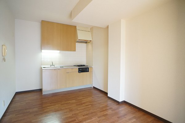 Kitchen. The kitchen is 2 lot gas stoves, With grill