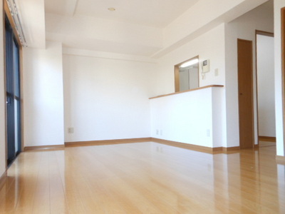 Living and room. Living