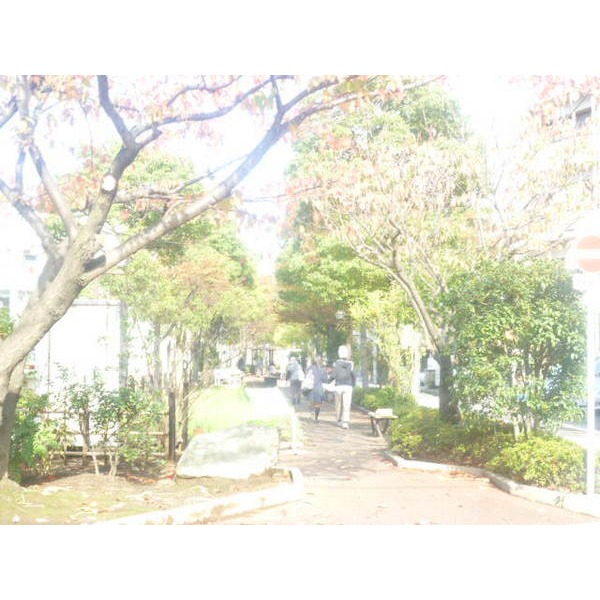 park. 621m to freshening the town green space (park)