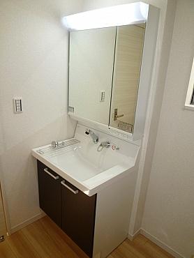 Wash basin, toilet. Bathroom vanity