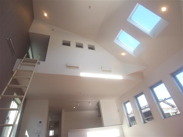 Living. Living 2013 / 12 shooting