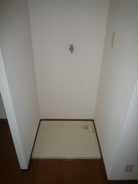 Other room space. Washing machine in the room