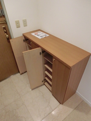 Entrance. Shoe box equipped