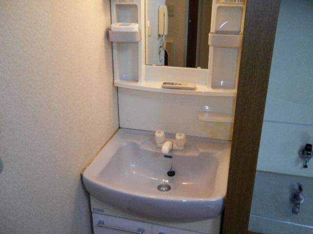 Washroom. Wash basin