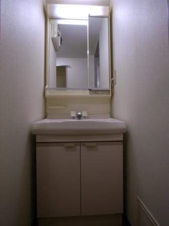 Washroom. Bathroom vanity