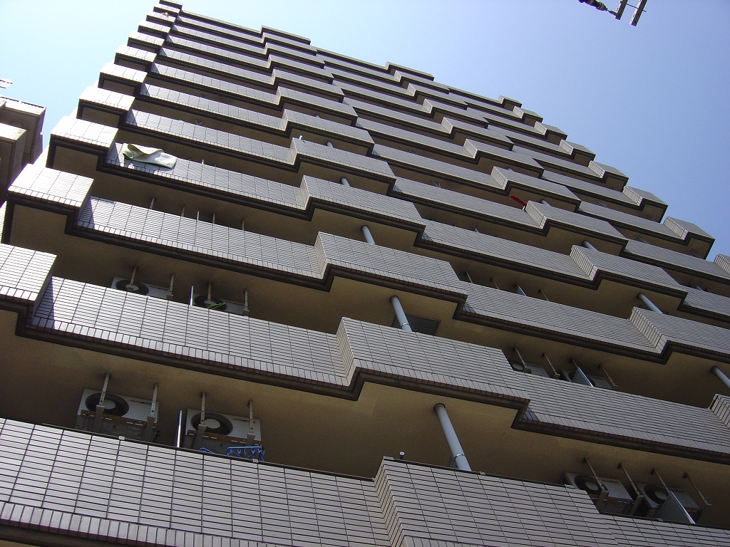 Building appearance. 13-story, Outer wall tile Zhang, SRC