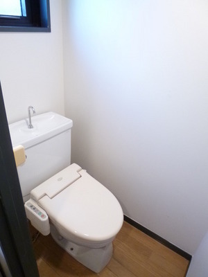 Toilet. Warm water washing heating toilet seat