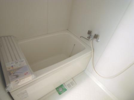 Bath. Add fueled, Bathing with bathroom dryer