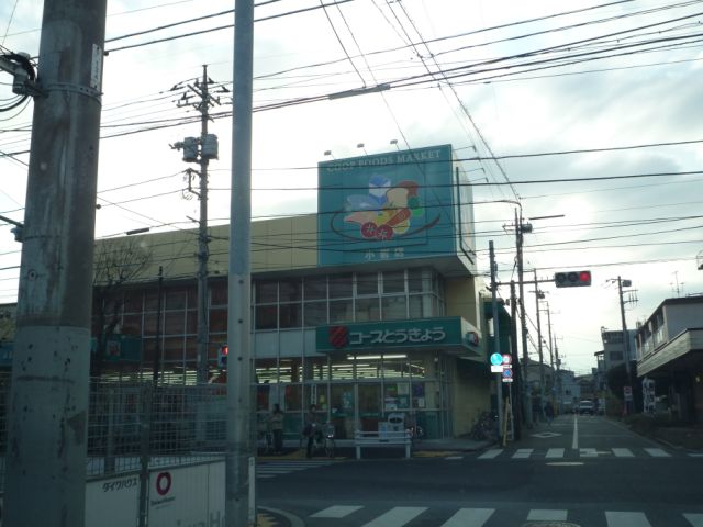 Supermarket. 170m to the Co-op (super)