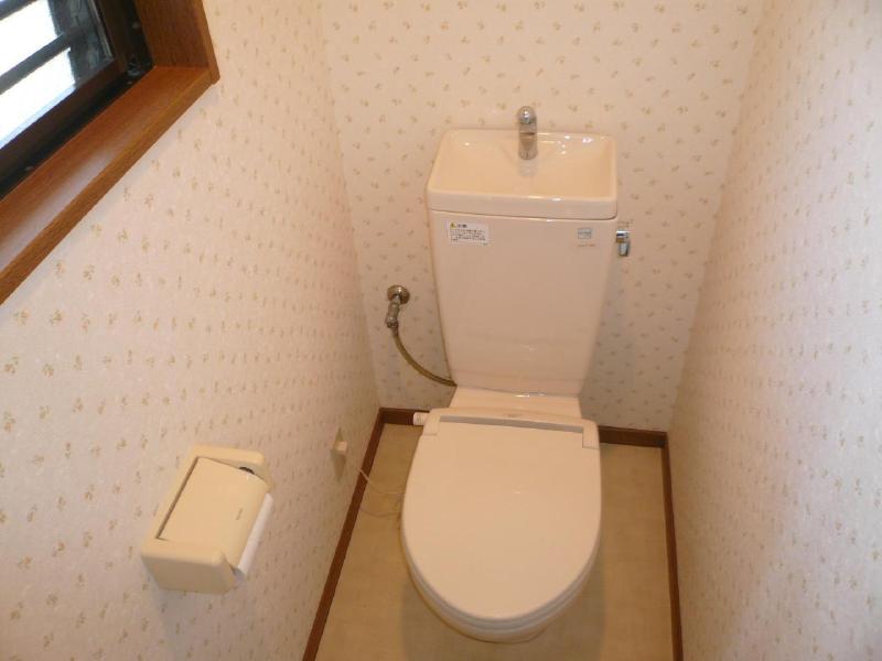 Toilet. Toilet (same type)