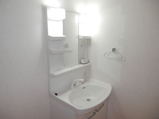 Washroom. Independent wash basin