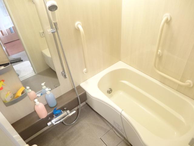 Bathroom. Indoor (12 May 2013) Shooting