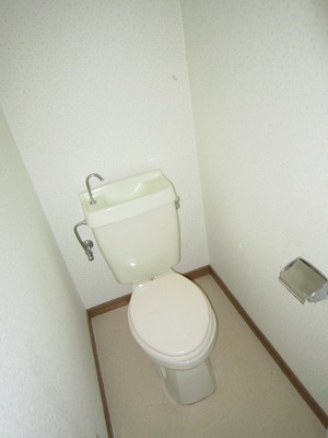 Toilet. Found on the top shelf