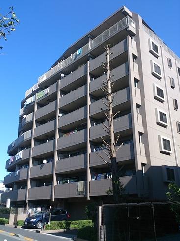 Local appearance photo. appearance / 2013 November shooting