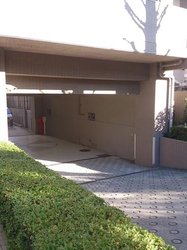 Parking lot. Parking approach / 2013 November shooting