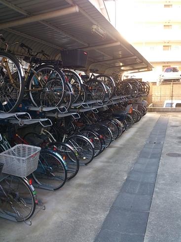 Other common areas. Parking approach / 2013 November shooting