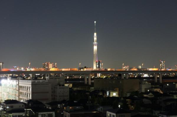 View photos from the dwelling unit. View (Night) / 2013 November shooting