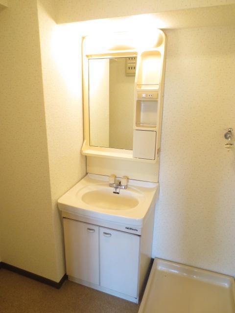 Washroom. Vanity with cleanliness