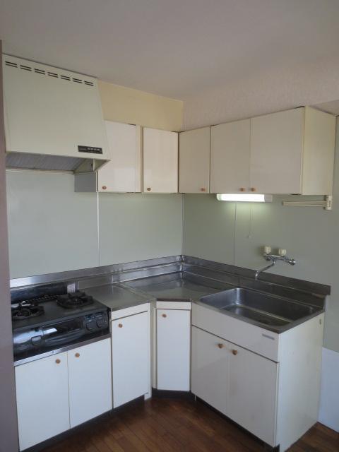 Kitchen. Easy-to-use L-shaped kitchen