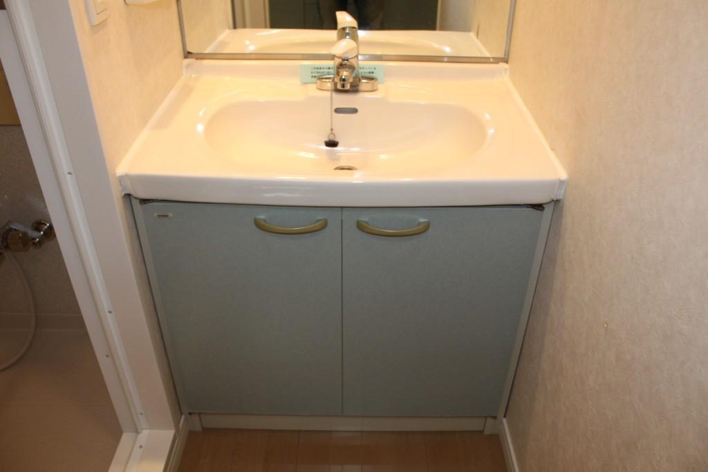 Washroom. Vanity of fashionable build