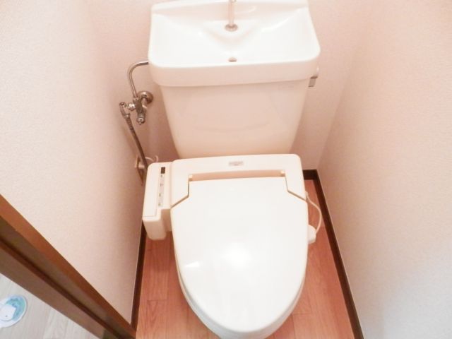 Toilet. Toilet