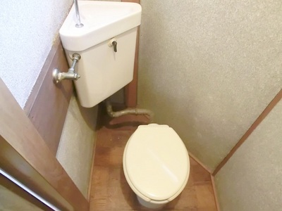 Toilet. Western-style toilet.