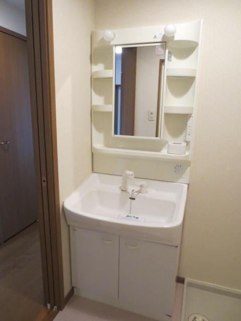 Washroom. Shampoo dresser