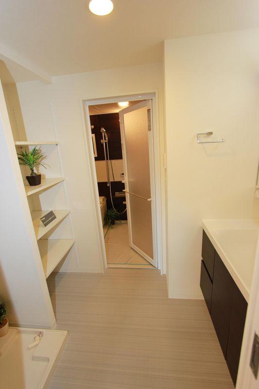 Other introspection. Sanitary room