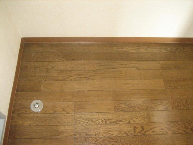 Washroom. Washing machine in the room (the same type)