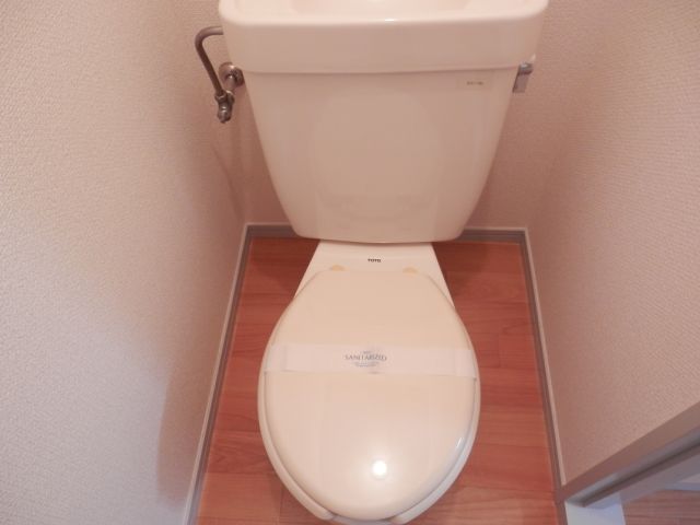Toilet. Toilet
