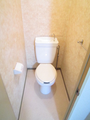 Toilet. Toilet with cleanliness