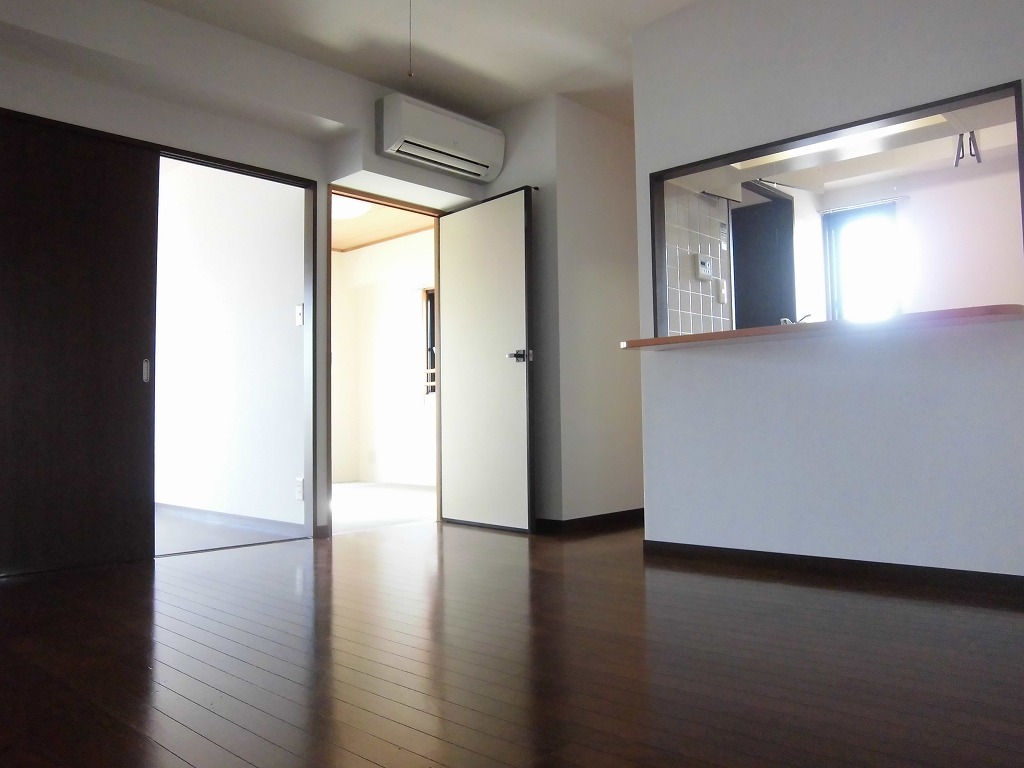 Living and room. LDK