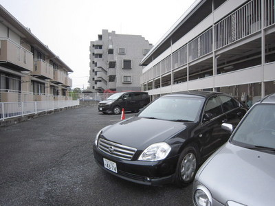 Parking lot. Parking lot