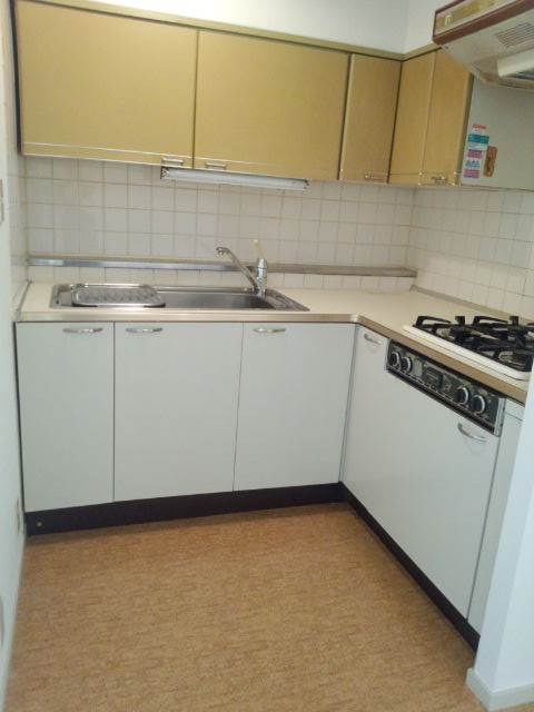 Kitchen. L-shaped kitchen