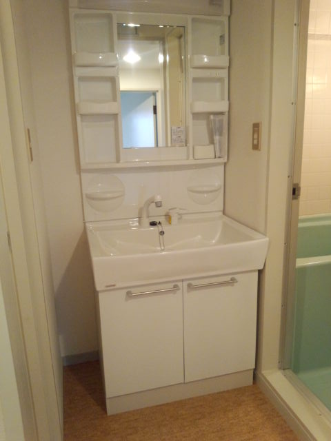 Washroom. Bathroom Vanity