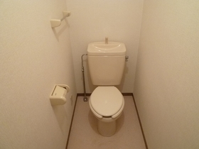 Toilet. Toilet