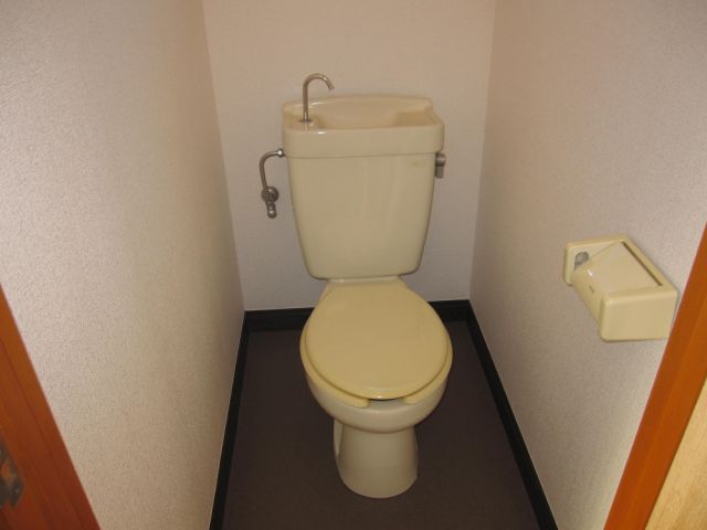 Toilet. Western-style toilet