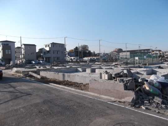 Local land photo. Current state