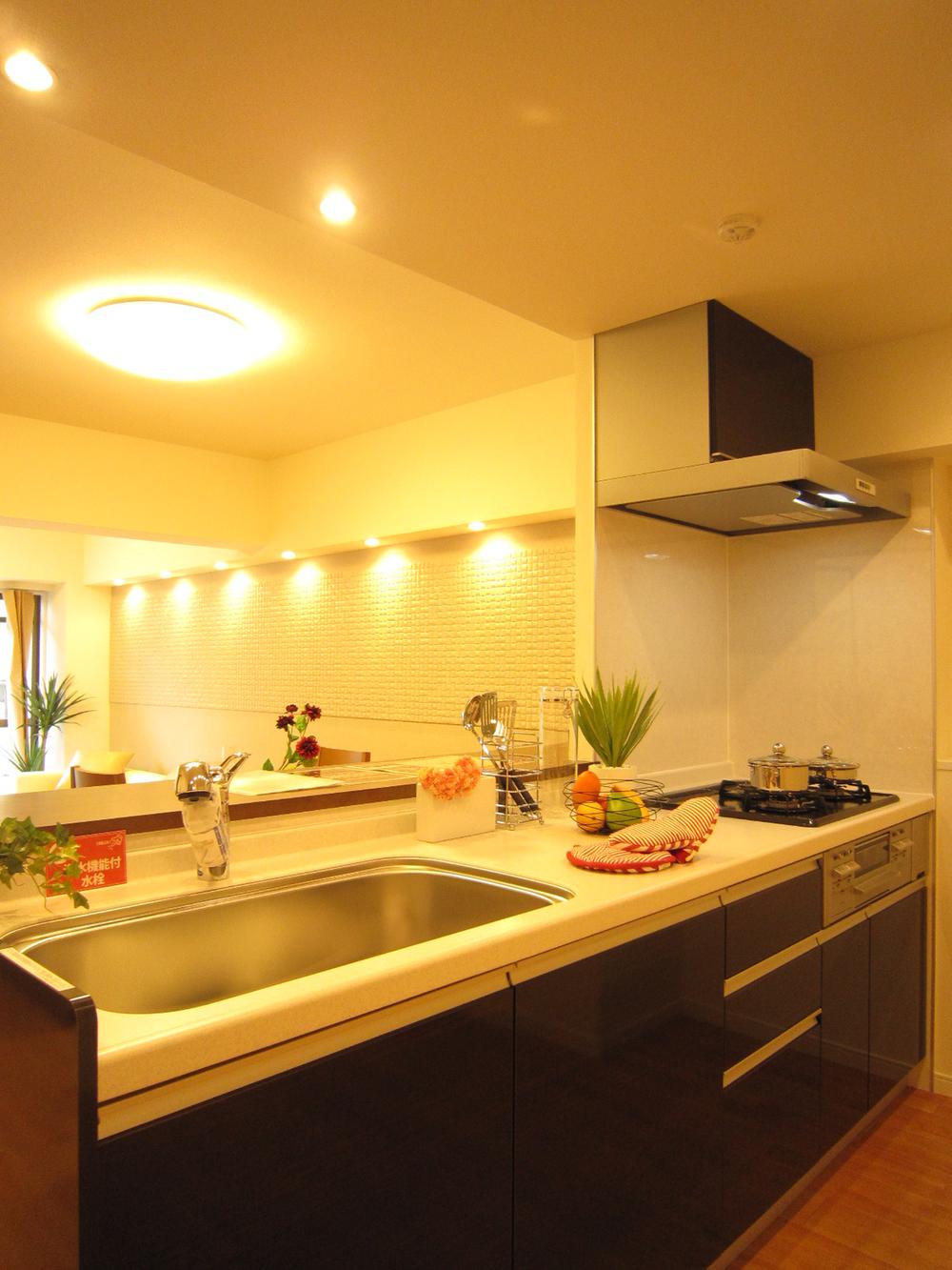 Kitchen. Indoor (11 May 2013) Shooting