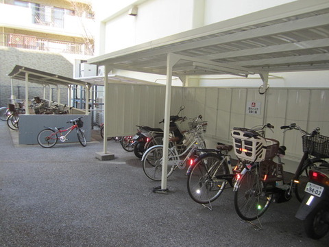 Parking lot. Bicycle (Available: Free)