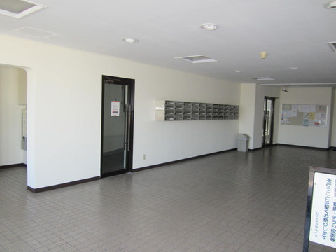 Entrance. Mailbox / Elevator