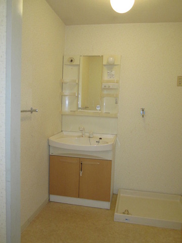 Washroom. Bathroom vanity