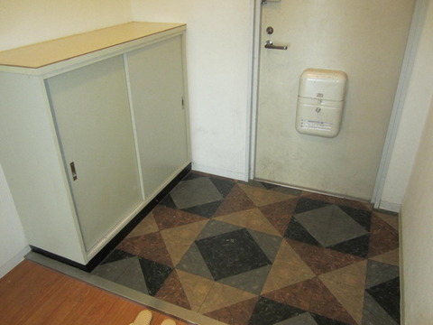 Entrance. Shoe shelf