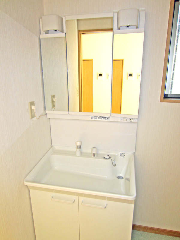 Washroom. Shampoo dresser